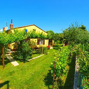 House 1037 , Fažana Kroatien